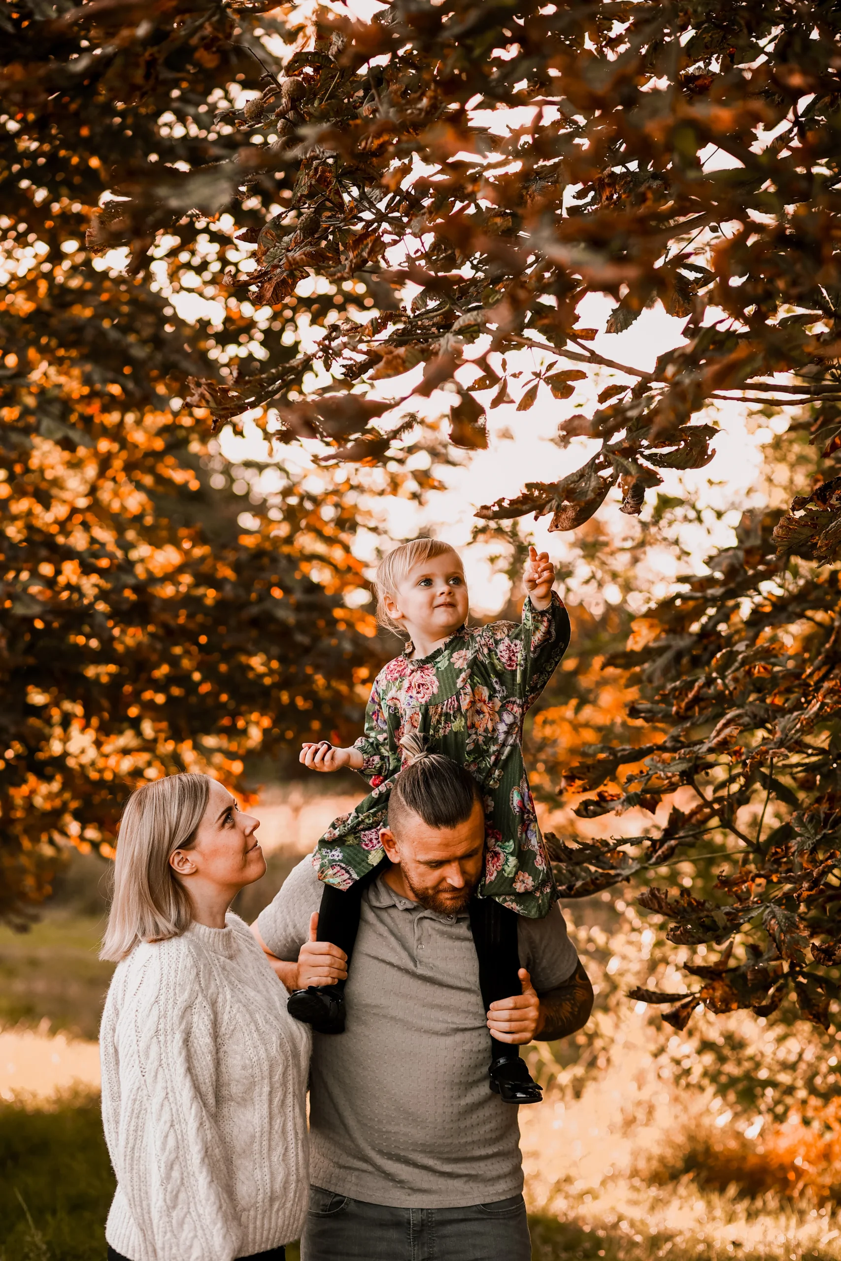 r-20-2
